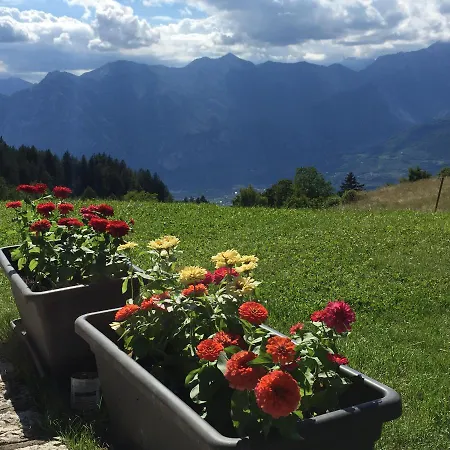 Casa di campagna Trentino In Malga: Malga Zanga Arco